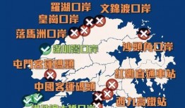 香港口岸爆料新闻最新,揭秘神秘事件背后的真相